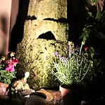 Gasthof Gruner Wald Hotel 3*
