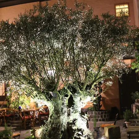 Gruener Wald Hotel 3*