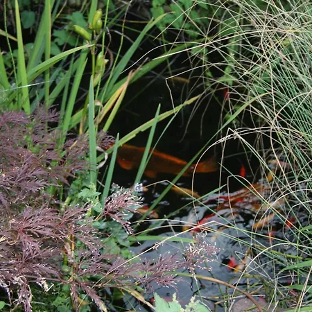 Hotel Gruener Wald Hofheim am Taunus