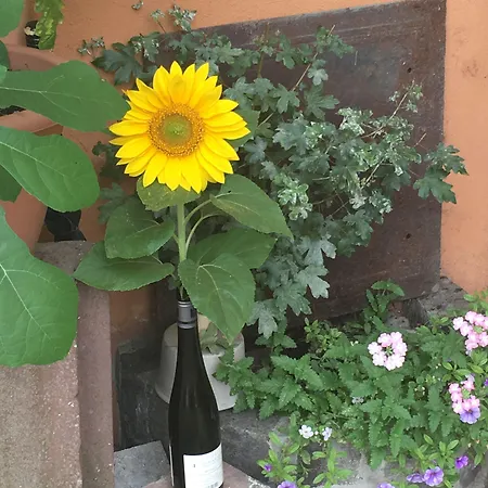 Hotel Gruener Wald Hofheim am Taunus