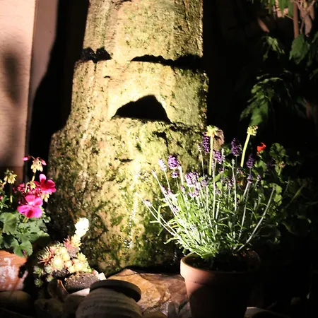 Grüner Wald Hotel 3*