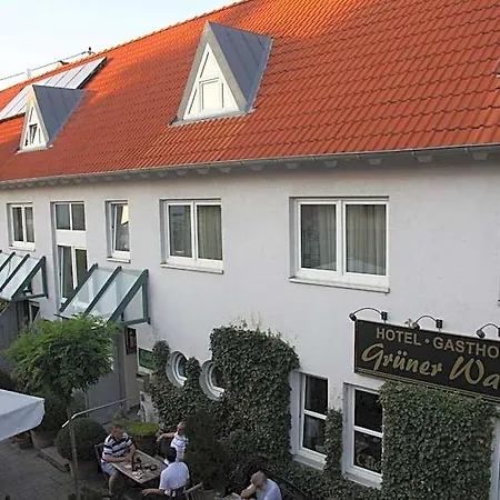 Hotel Gasthof Gruner Wald 3*