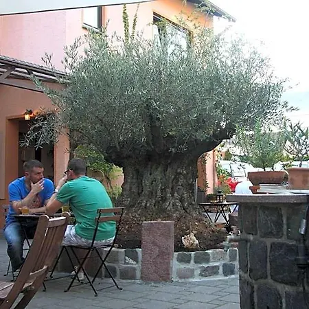 Gasthof Gruner Wald Hotel 3*