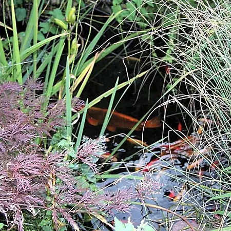 Gruener Wald Ξενοδοχείο 3*