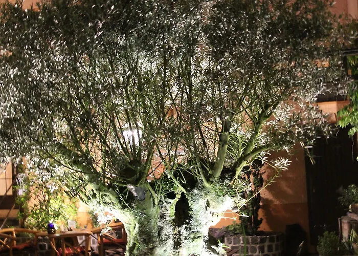 Gasthof Gruner Wald Hotel 3*