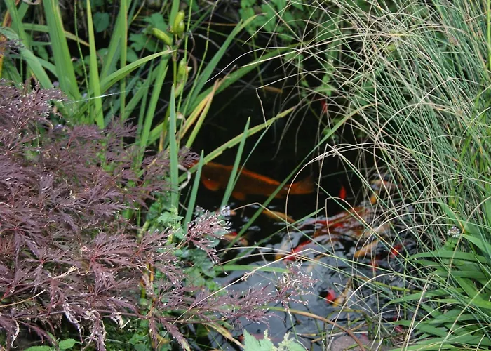Hotel Gasthof Gruner Wald Hofheim am Taunus
