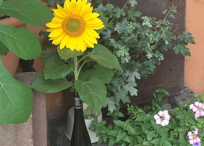 Otel Grüner Wald Hofheim am Taunus