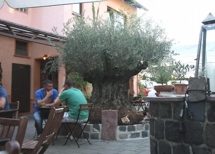 Gasthof Gruner Wald Hotel